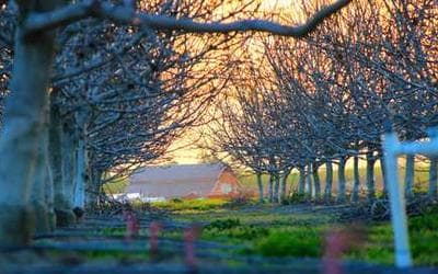 Course-Navigator-Template placeholder image from picsum.photos